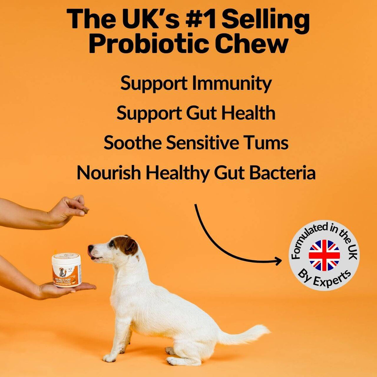 Pre, Pro & Postbiotic Digestive Treats