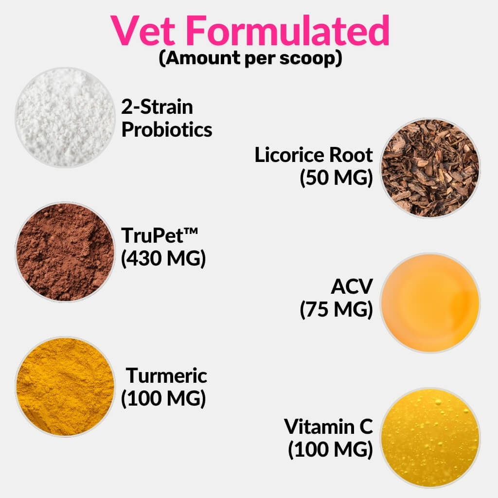 All-Itch Food Topper for Cats