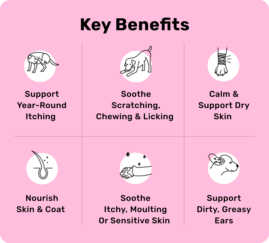All-Itch & Immunity Treats