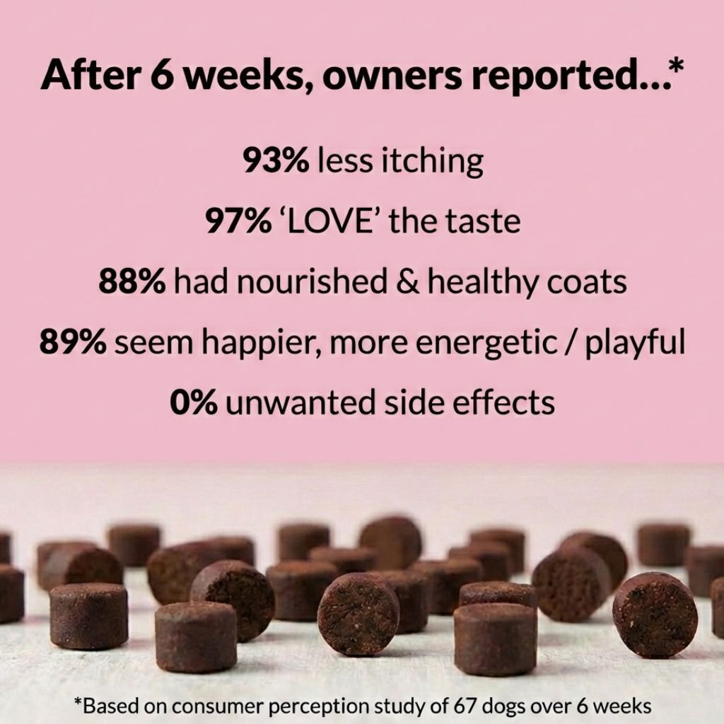 All-Itch & Immunity Treats