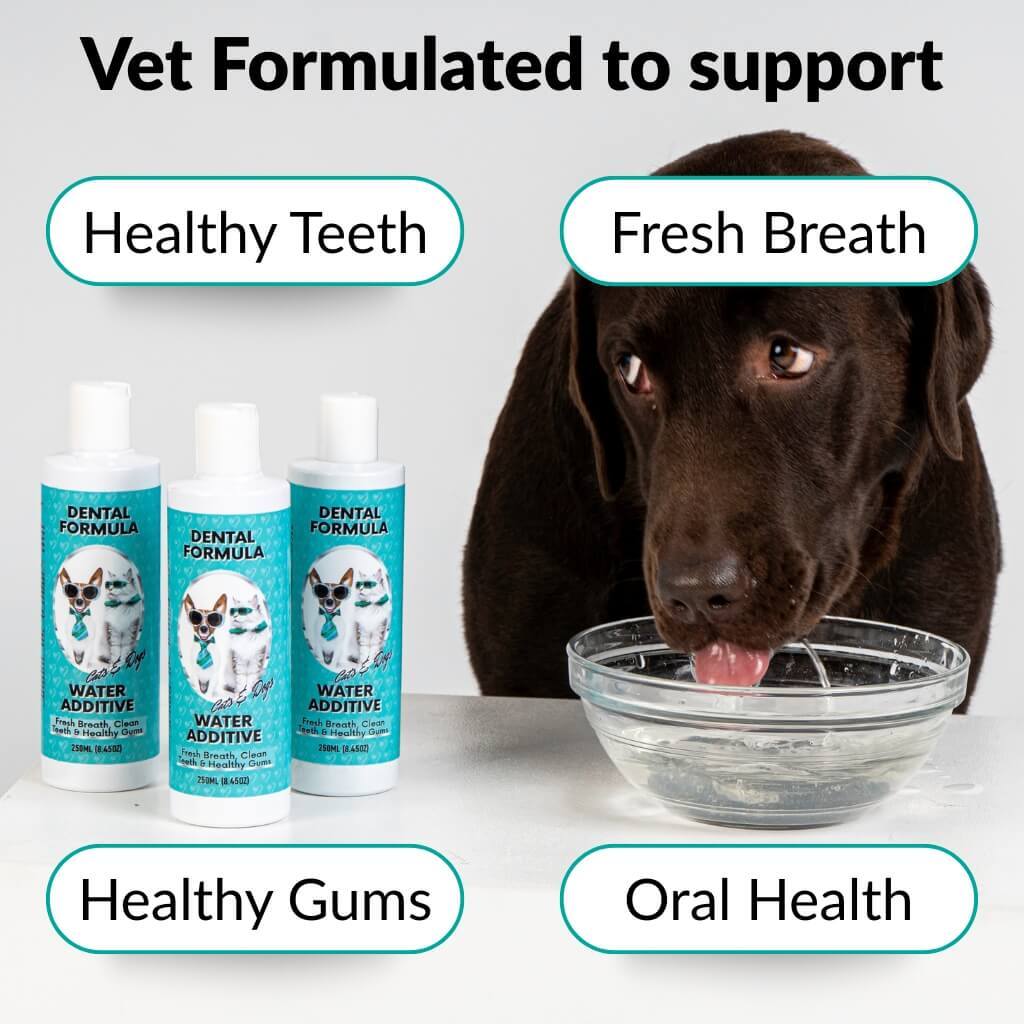 Dental Water - USA Made (10oz)