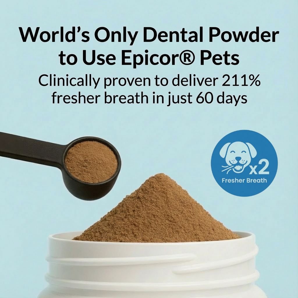 Dental Powder