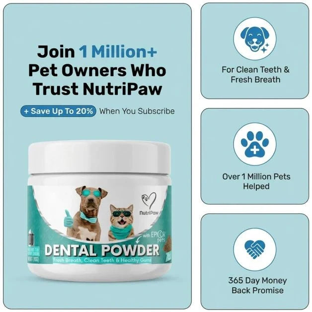 Dental Powder