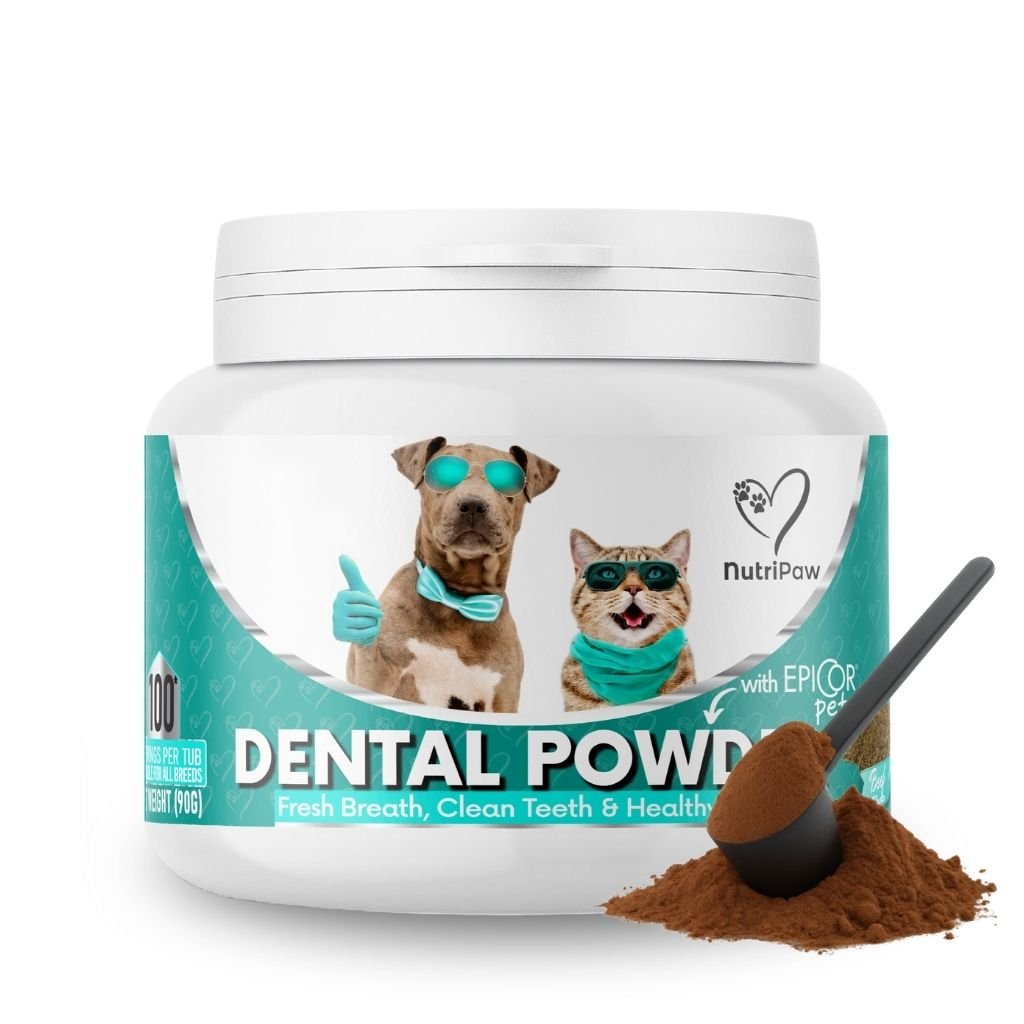 Dental Powder