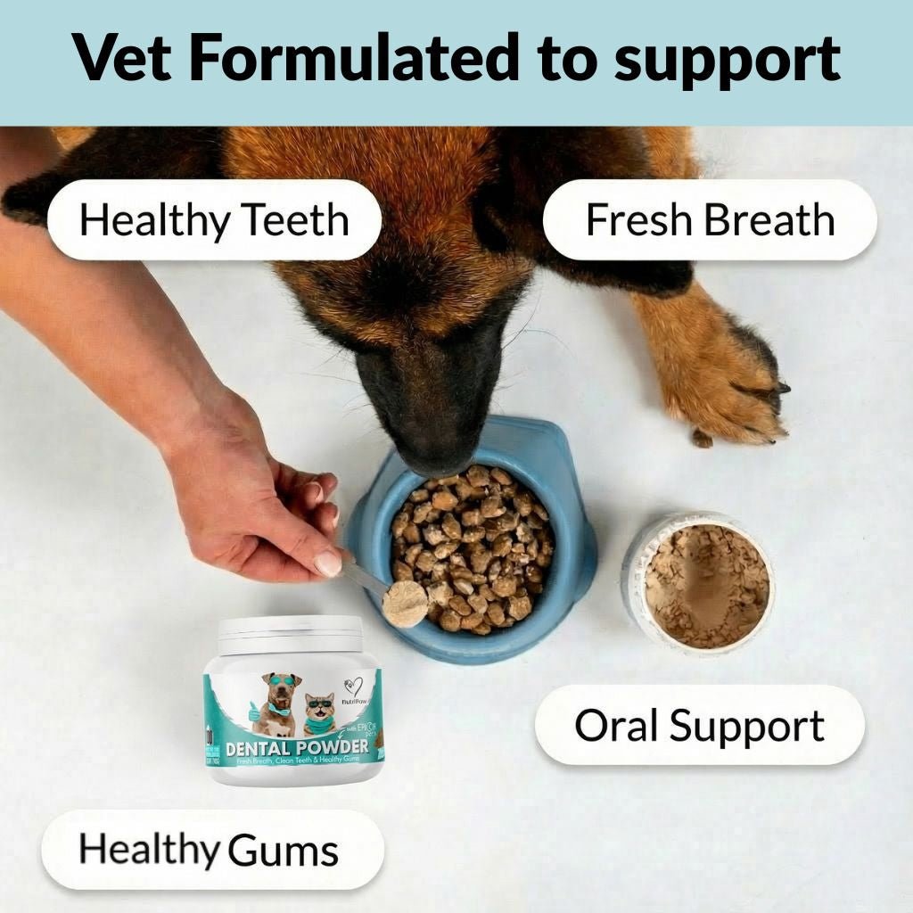 Dental Powder
