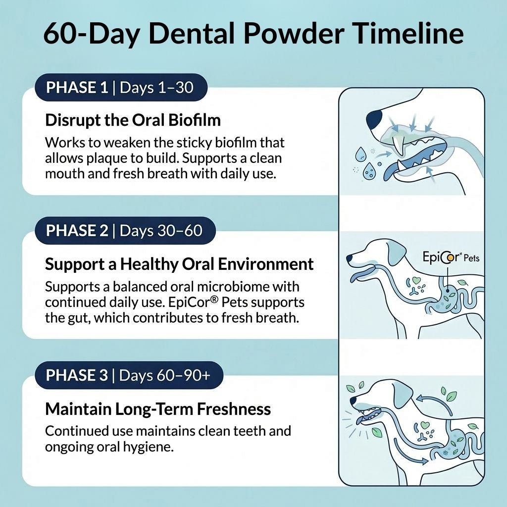 Dental Powder