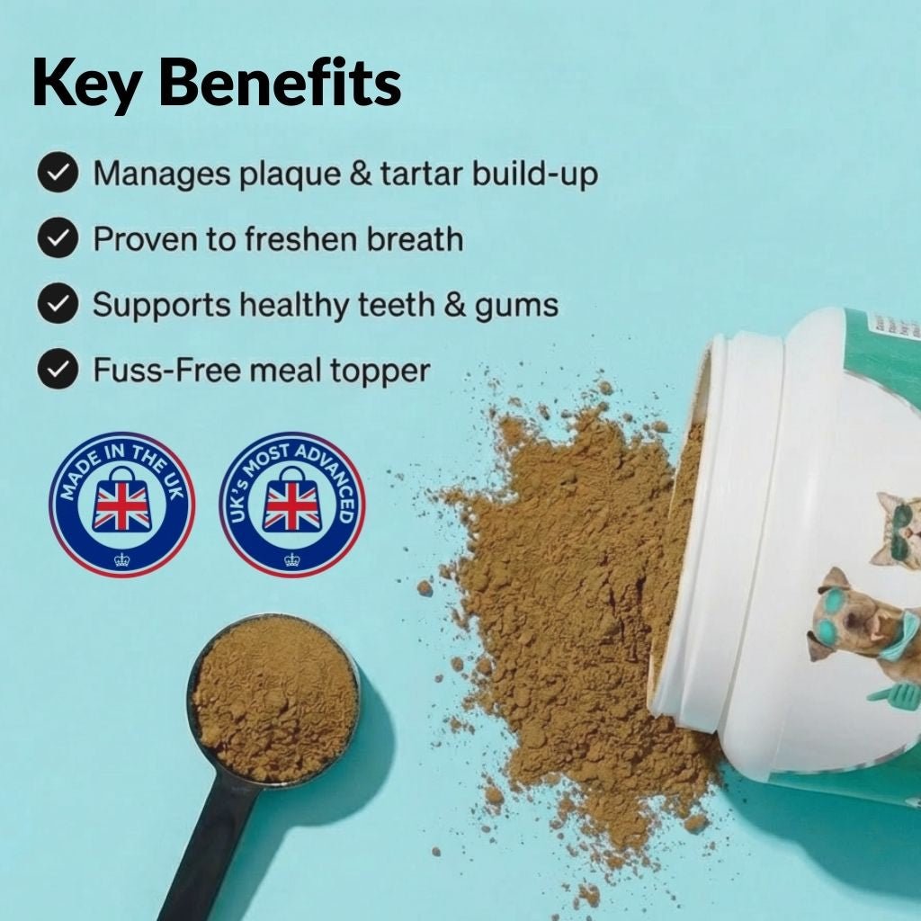 Dental Powder