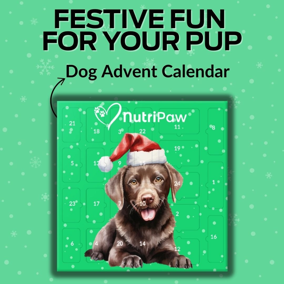 Dog Advent Calendar