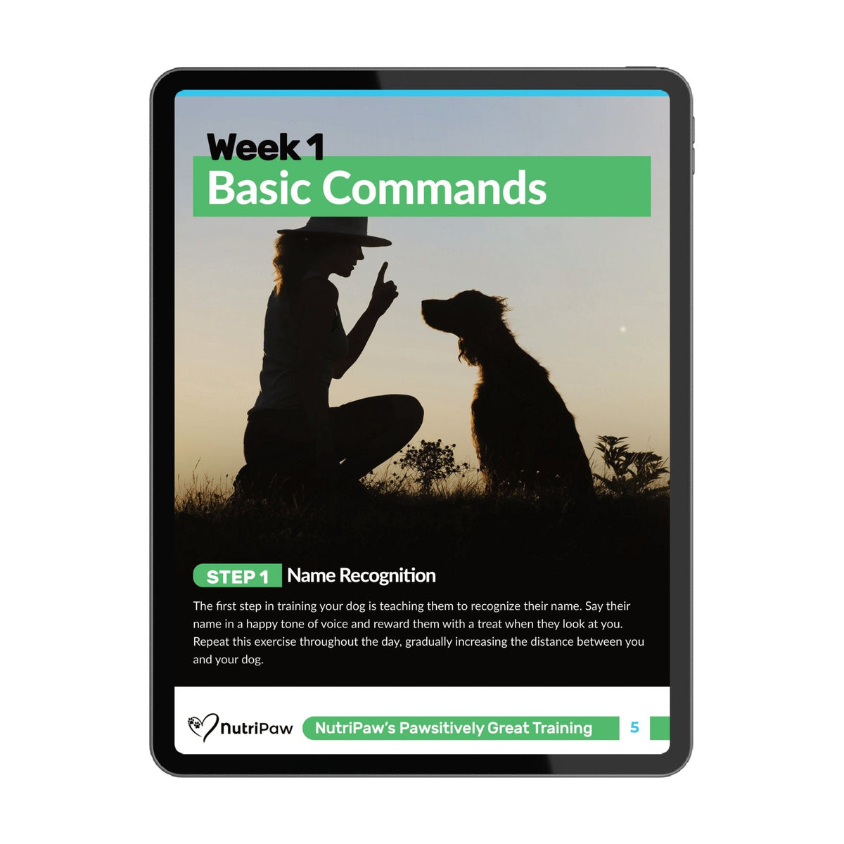 Dog Training Program