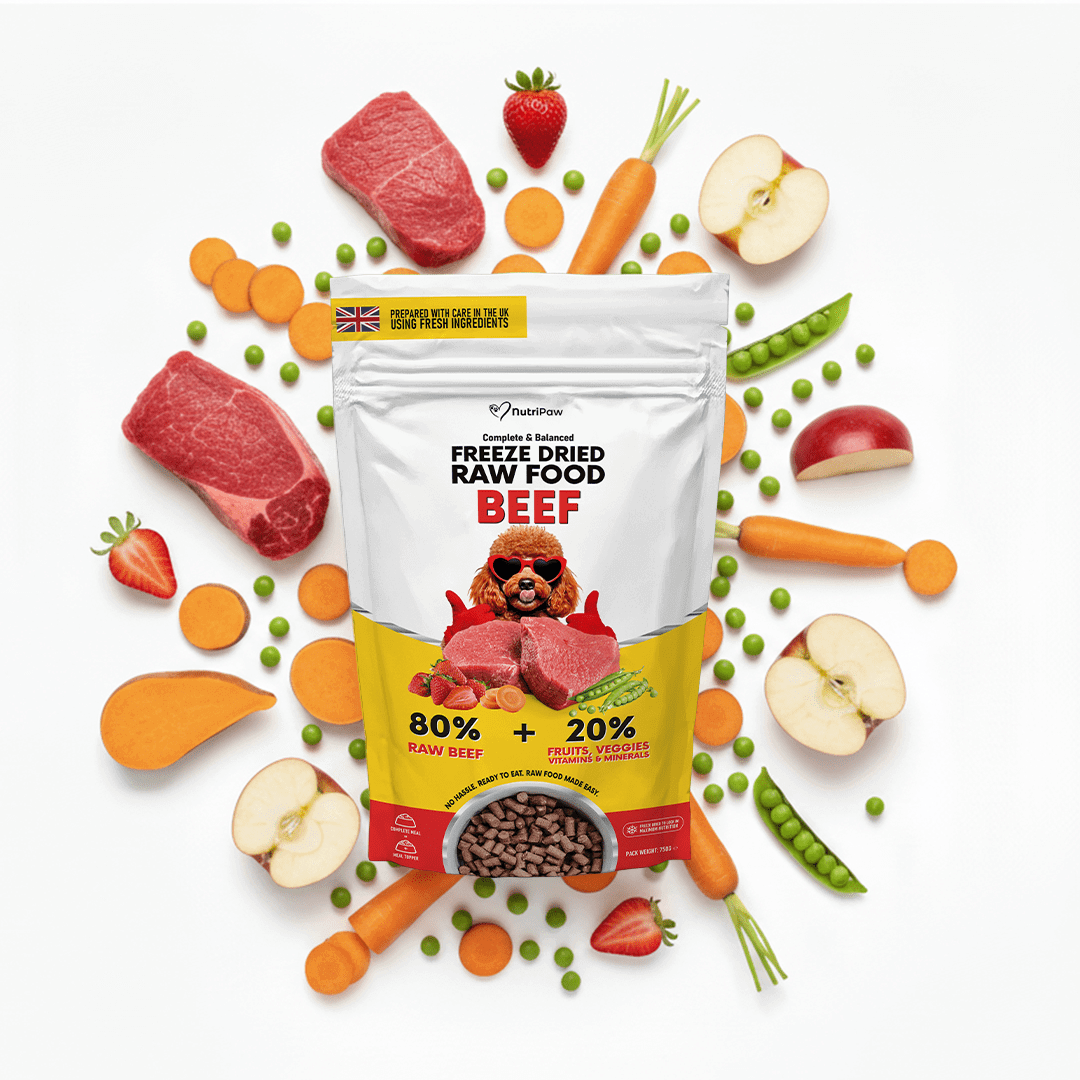 Freeze Dry Raw Beef