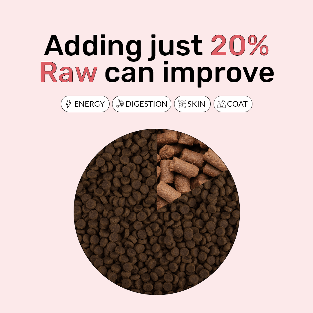 Freeze Dry Raw Beef