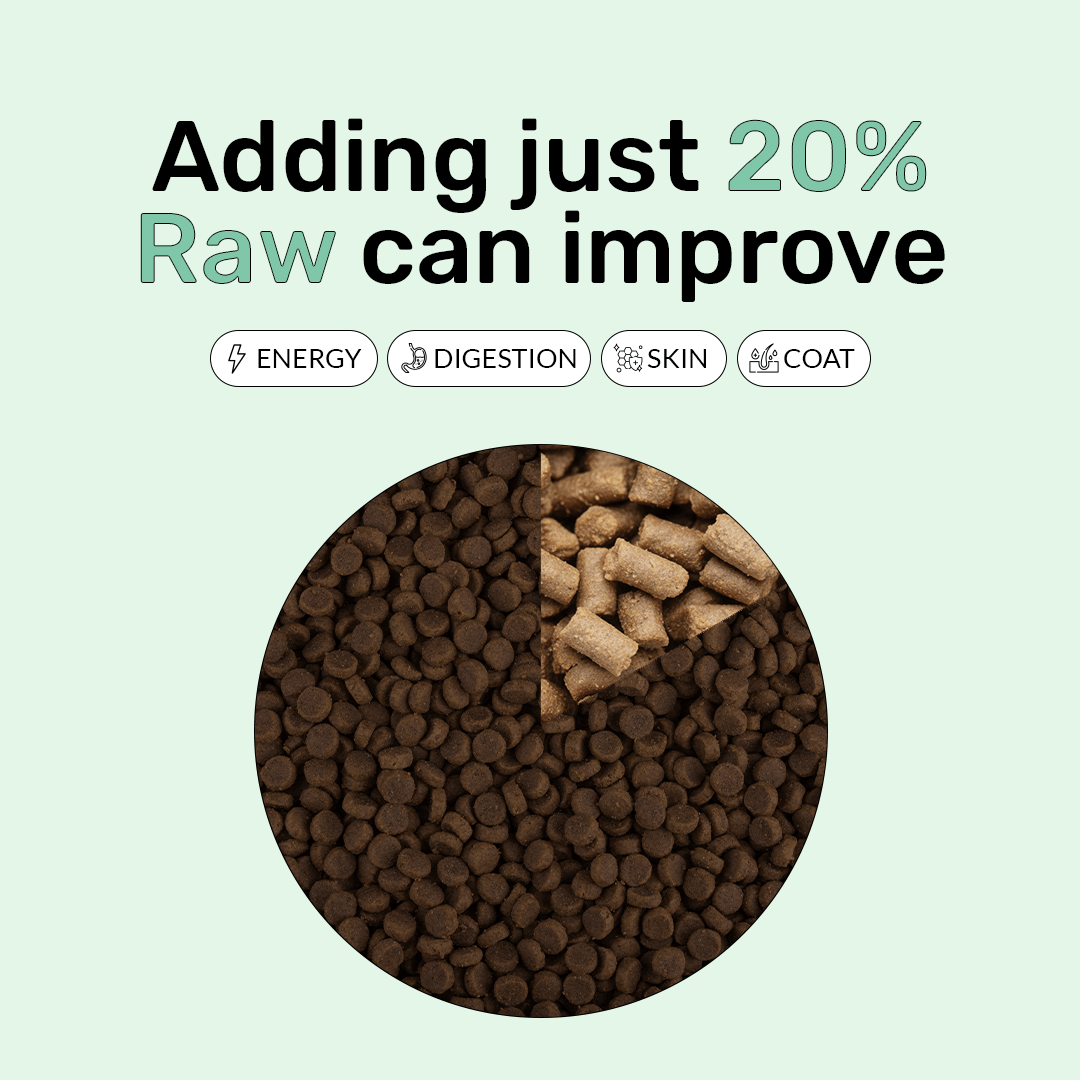 Freeze Dry Raw Chicken