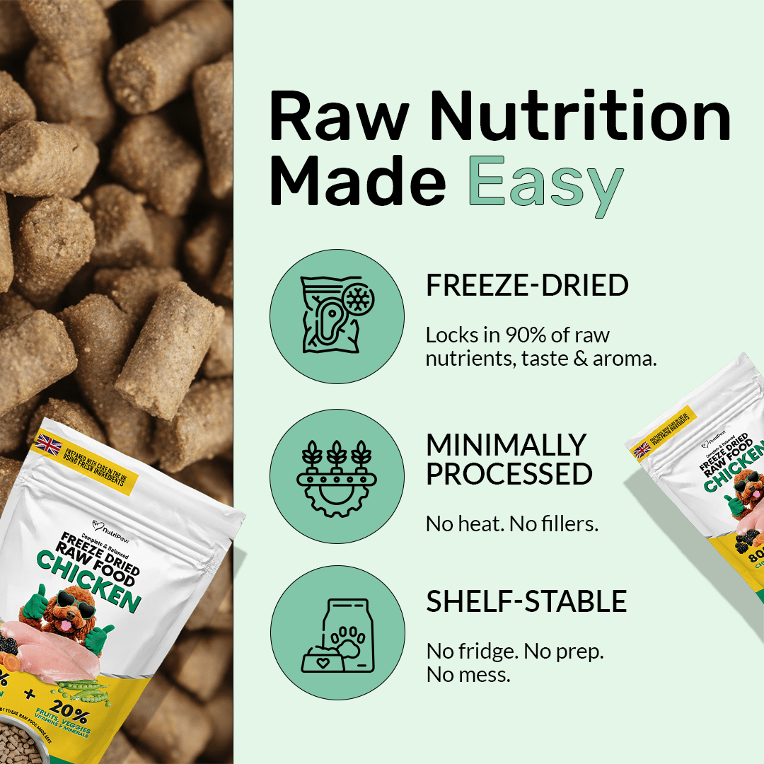 Freeze Dry Raw Chicken