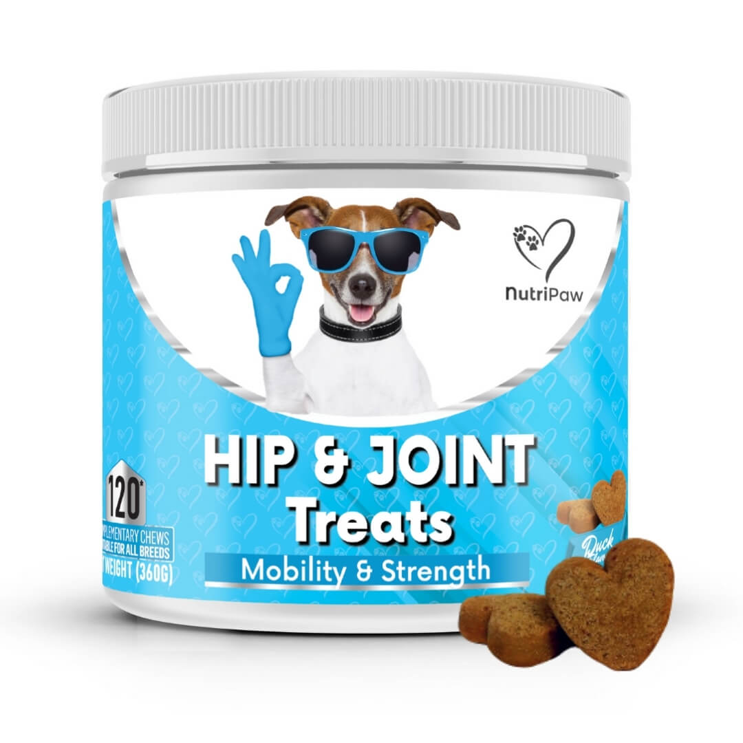 Hip & Joint Treats