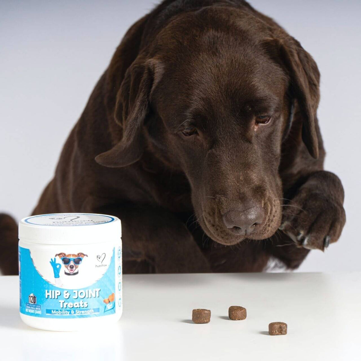 Hip & Joint Treats