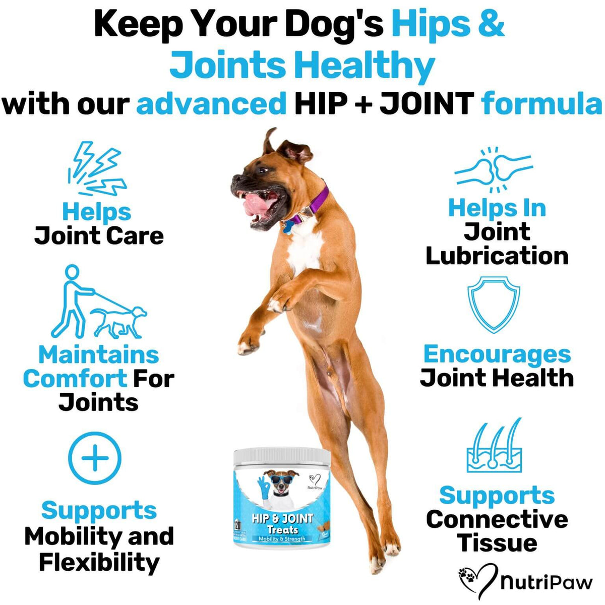 Hip & Joint Treats