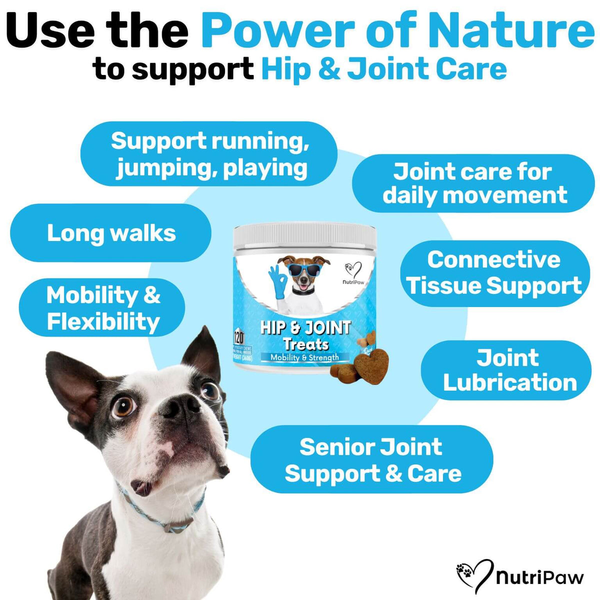 Hip & Joint Treats
