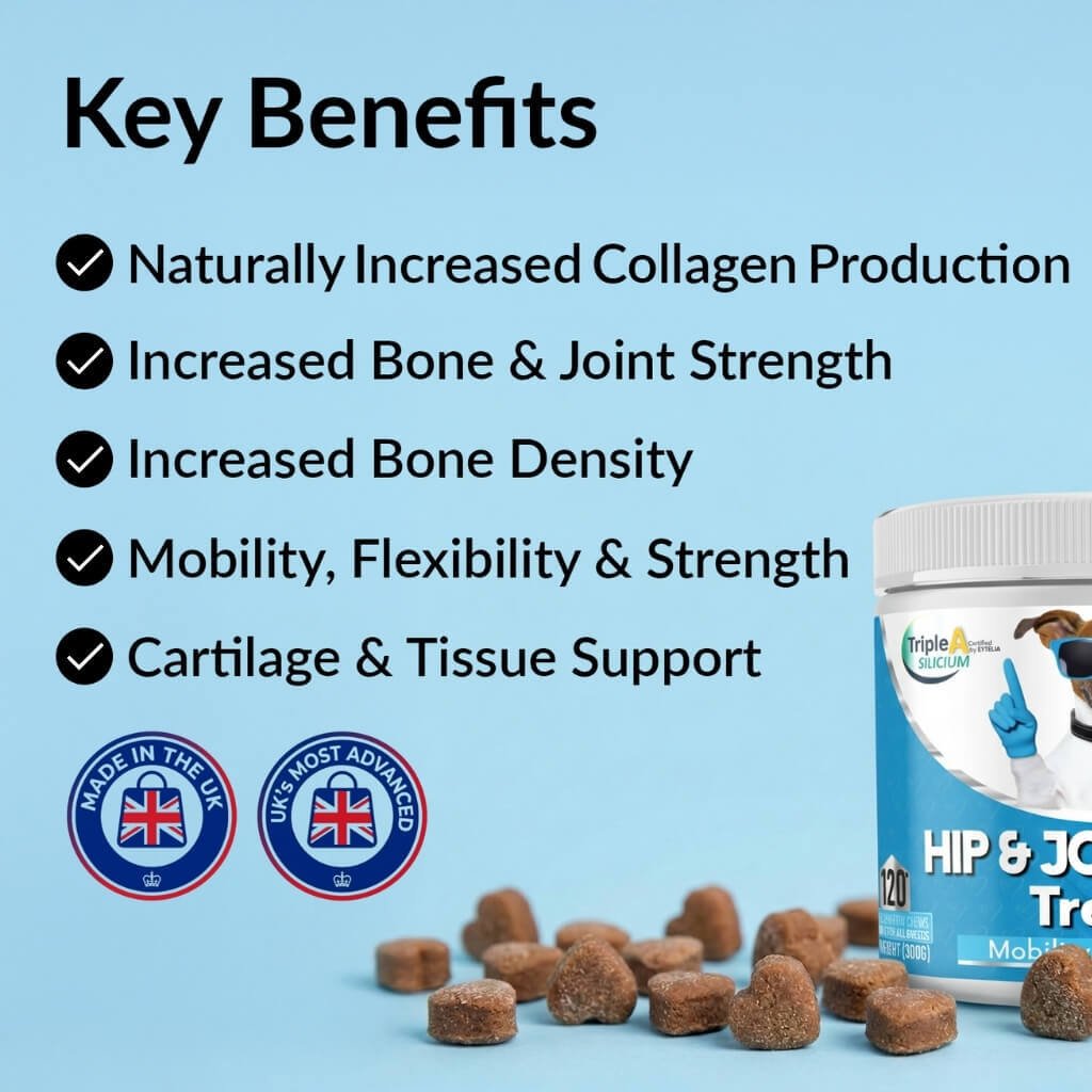 Hip & Joint Treats Plus