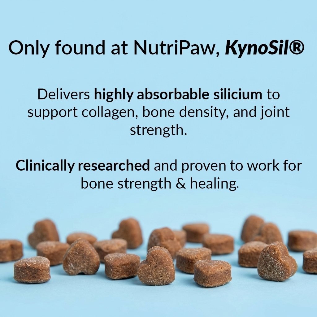Hip & Joint Treats Plus