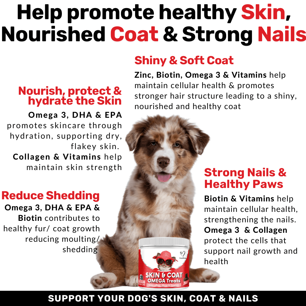 Nurture & Nourish Pack
