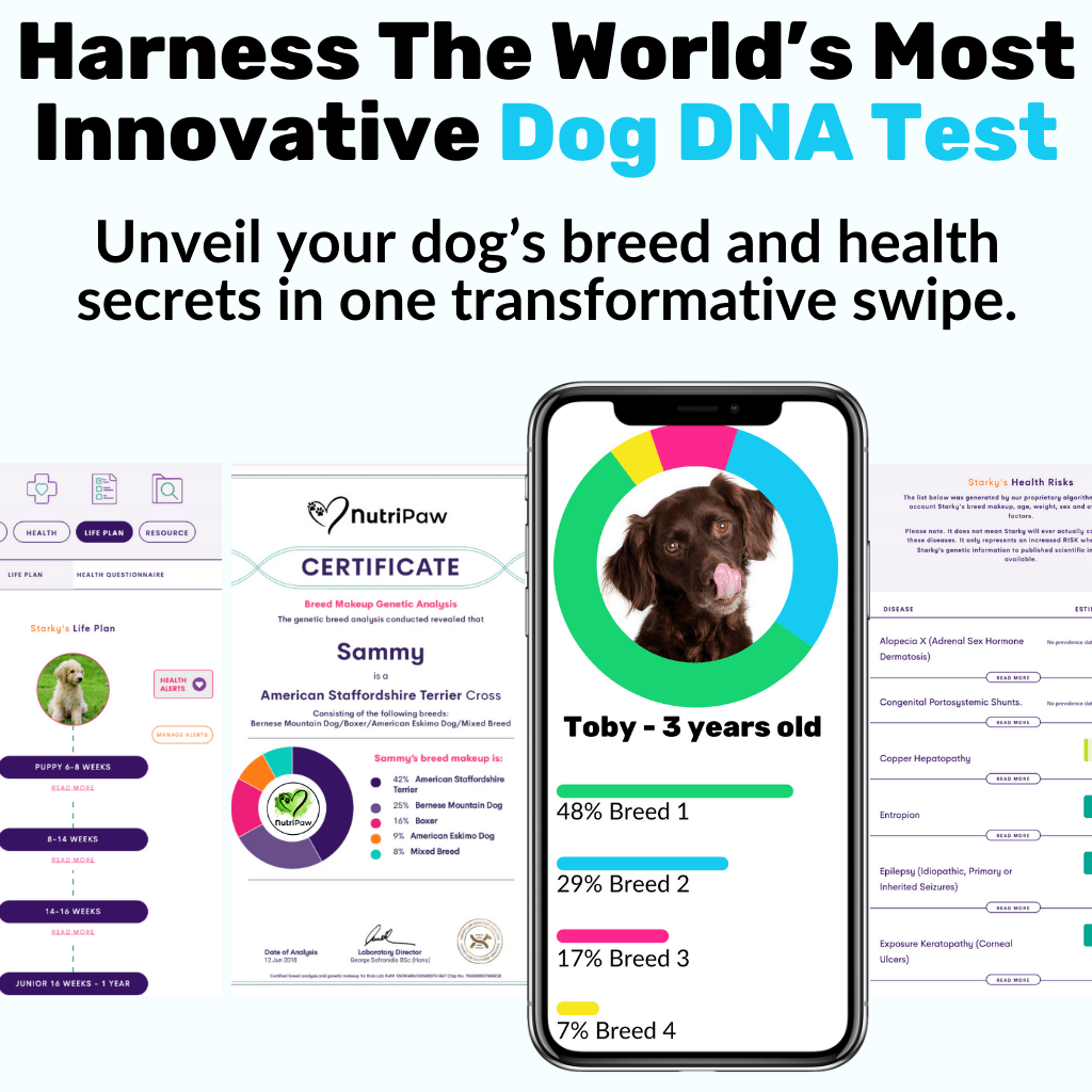 NutriPaw ID
