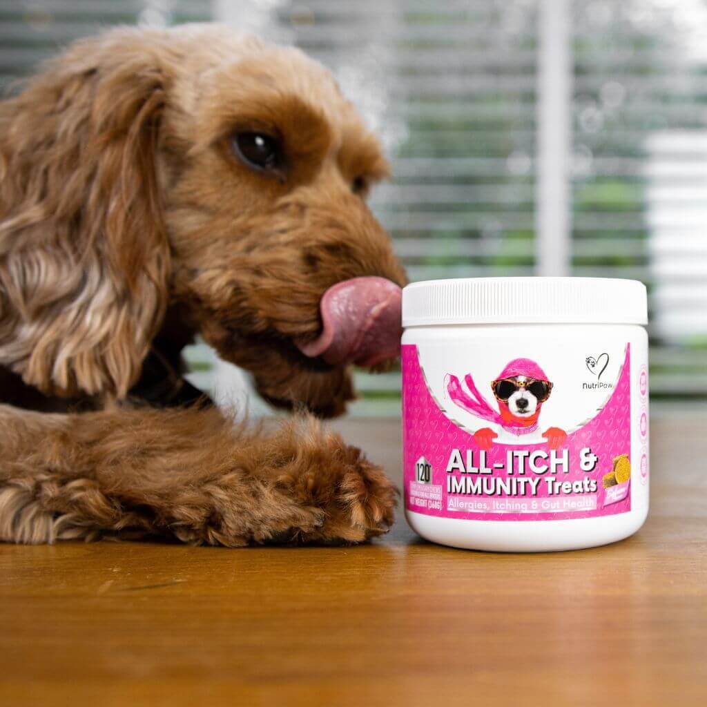 NutriPaw's #1 Kit