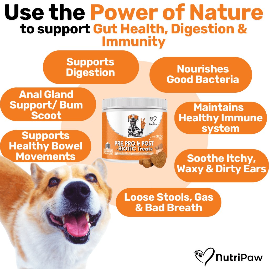 NutriPaw's #1 Kit
