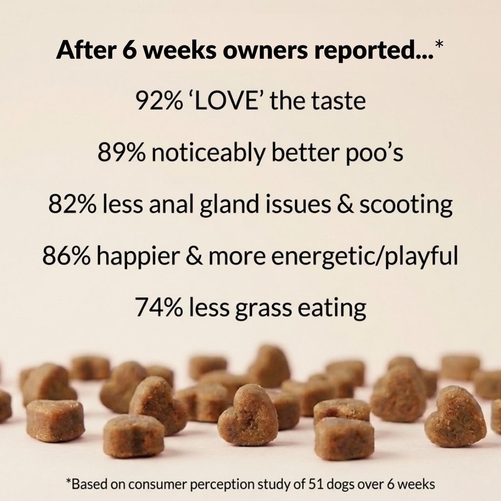 Pre, Pro & Postbiotic Digestive Treats