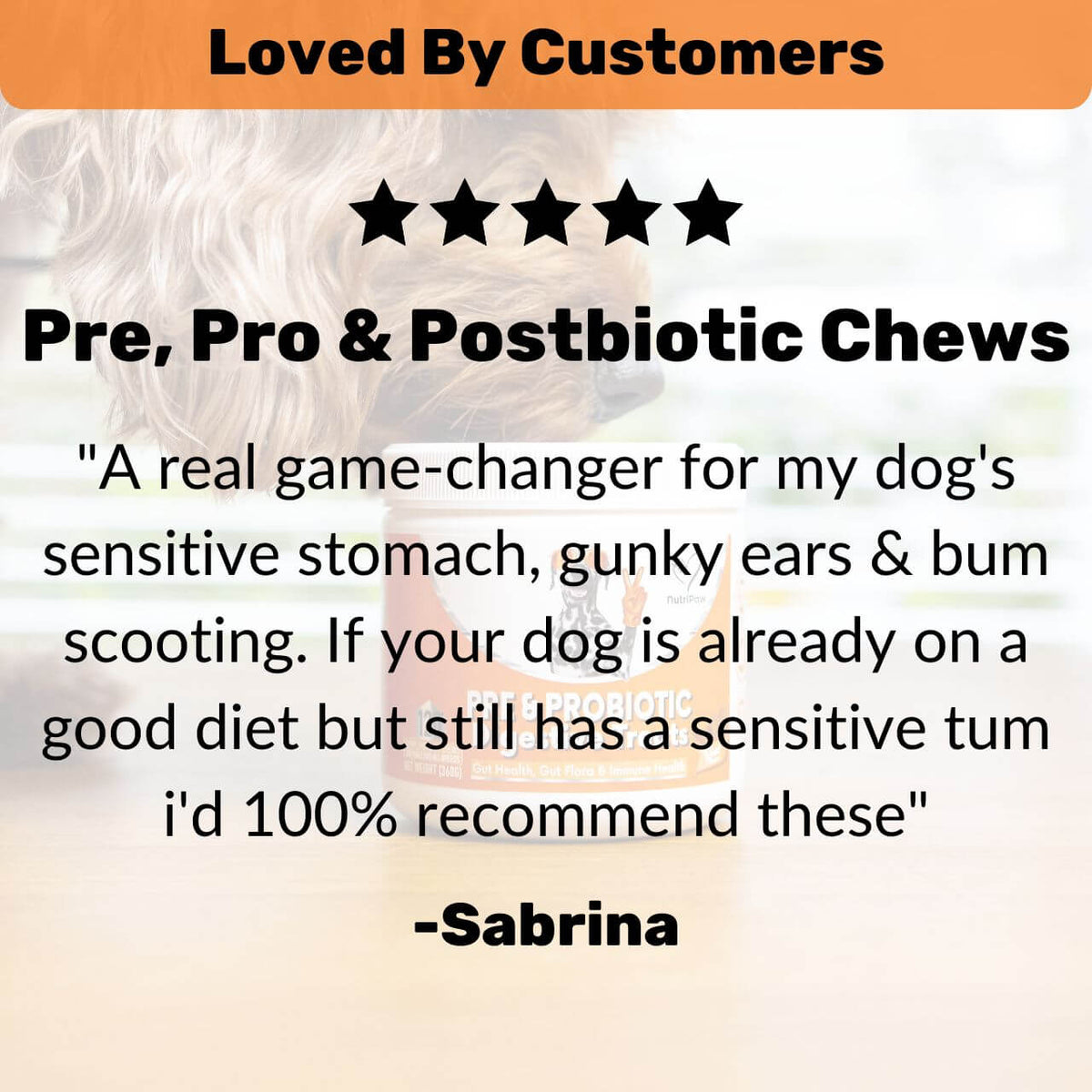 Pre, Pro & Postbiotic Digestive Treats