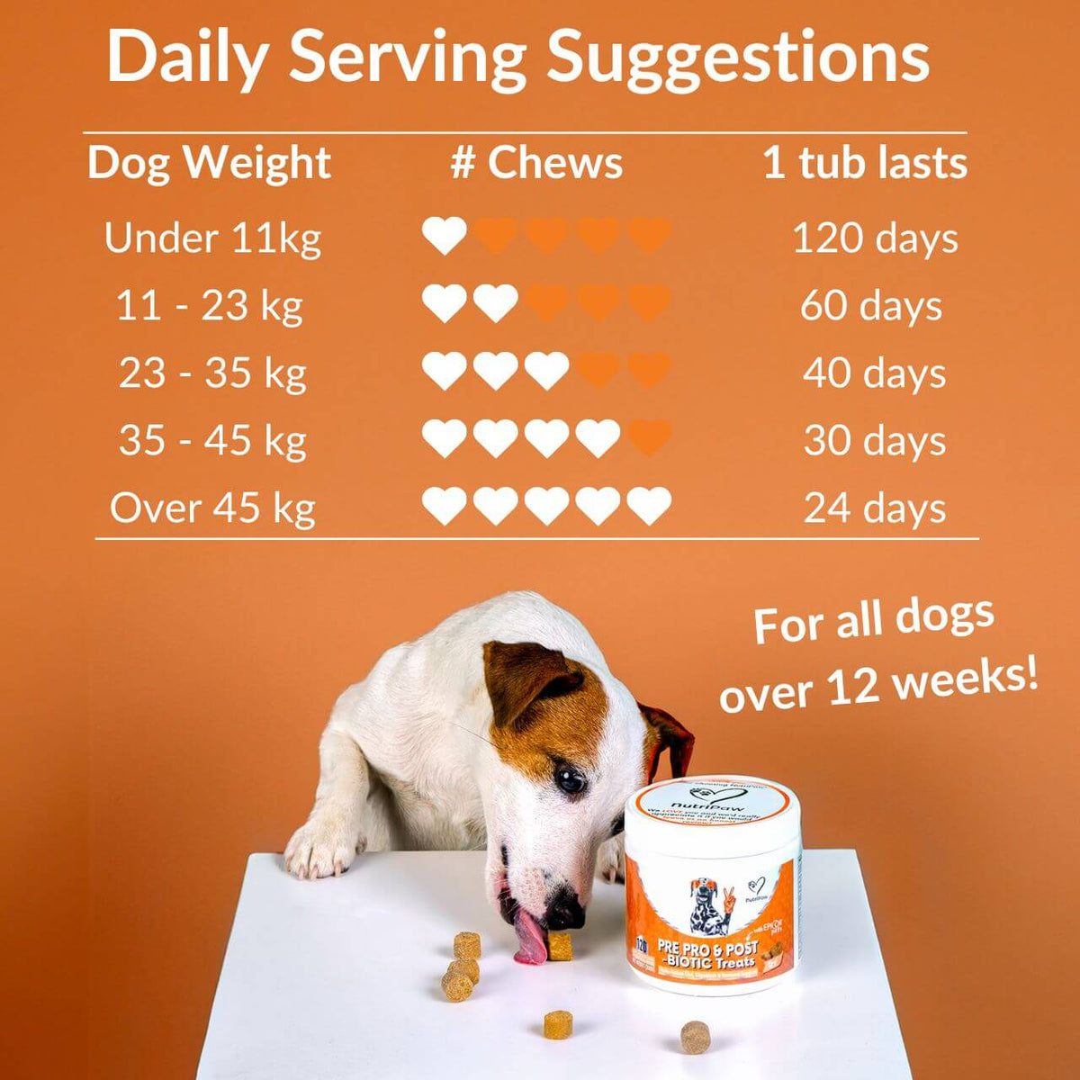 Pre, Pro & Postbiotic Digestive Treats