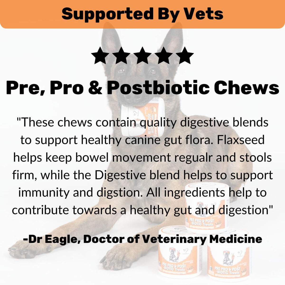 Pre, Pro & Postbiotic Digestive Treats