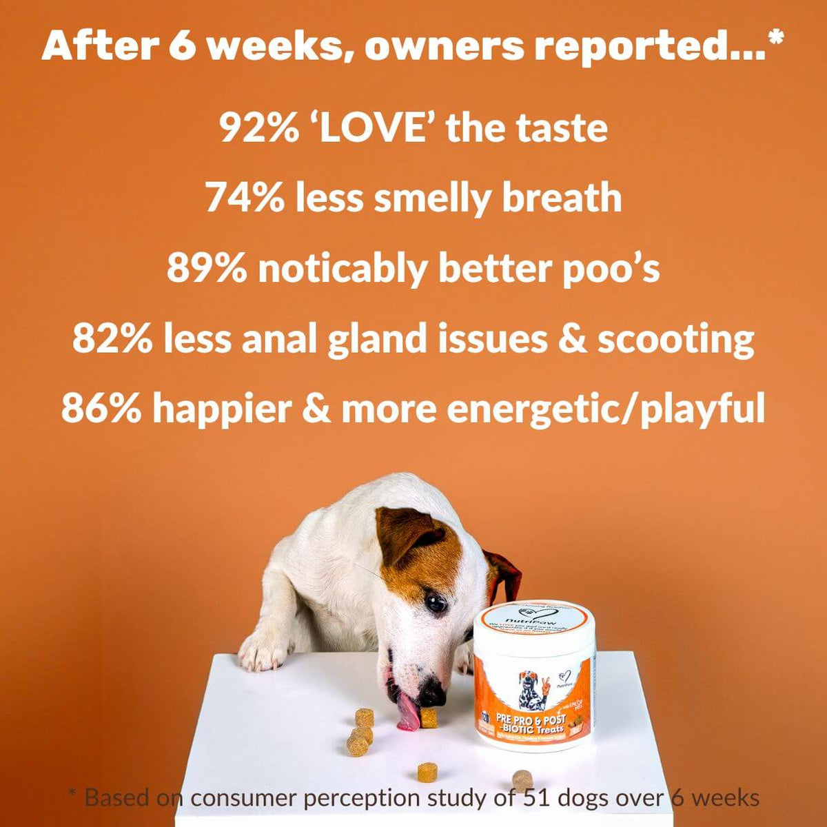 Pre, Pro & Postbiotic Digestive Treats