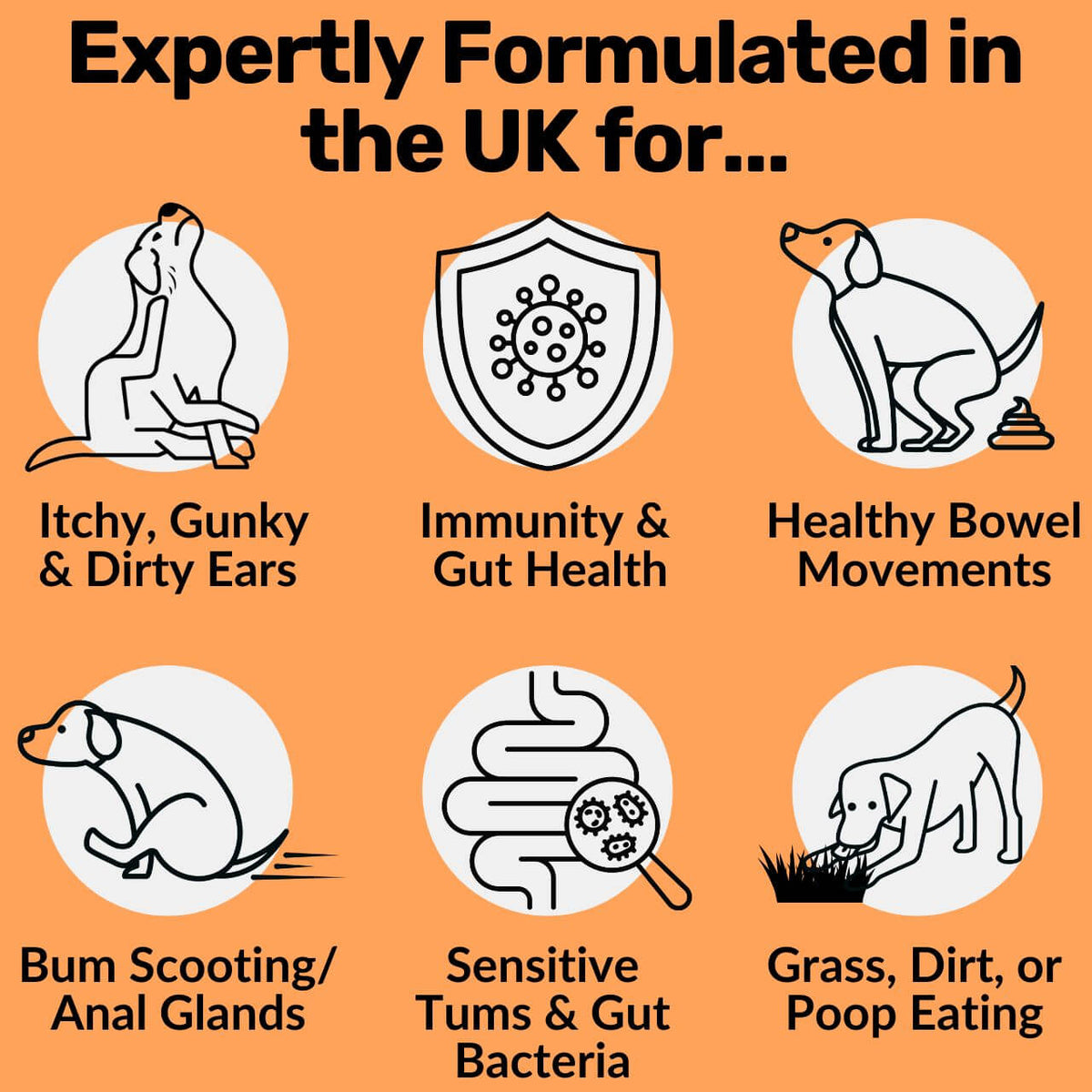 Pre, Pro & Postbiotic Digestive Treats