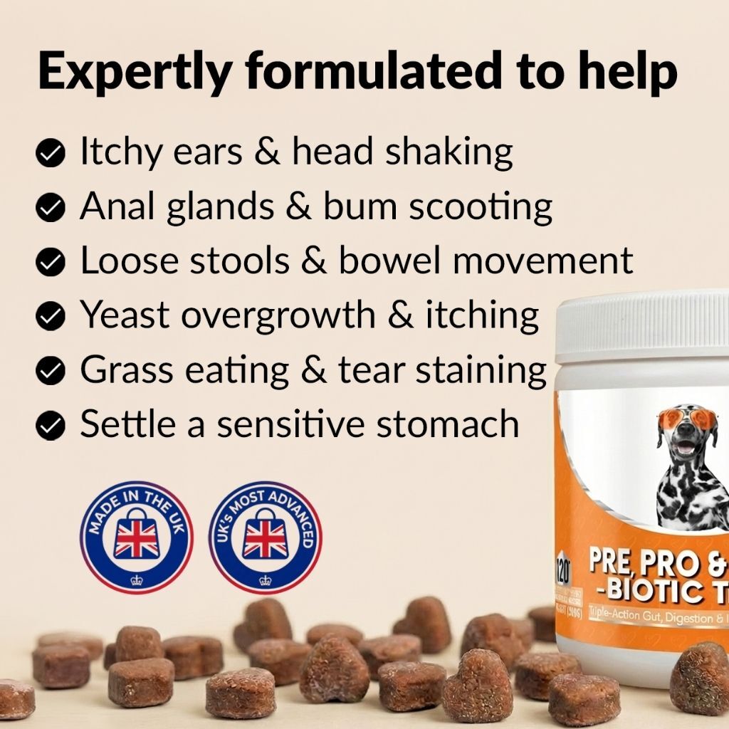 Pre, Pro & Postbiotics Treats (10oz)
