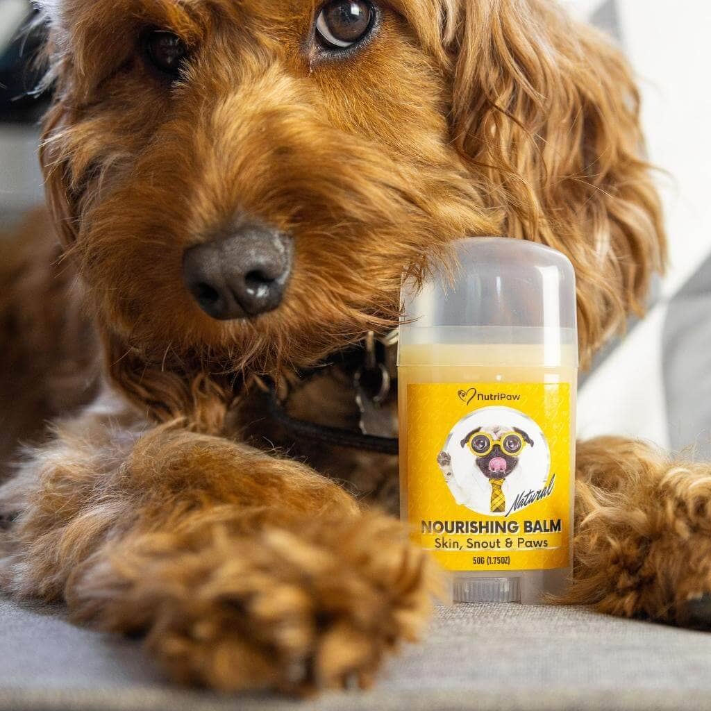 Skin, Snout & Paws Nourishing Balm 2 PACK Bundle