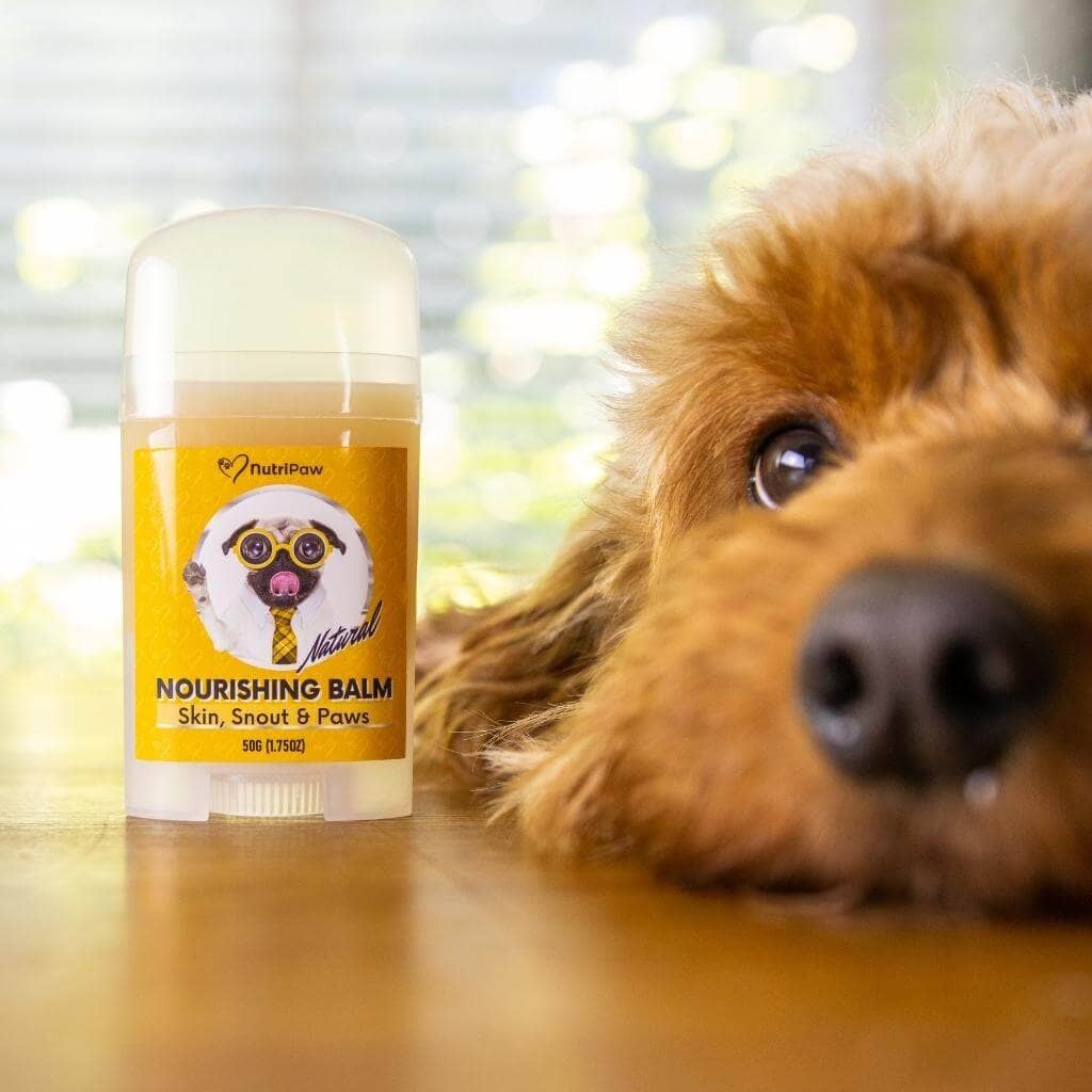 Skin, Snout & Paws Nourishing Balm 2 PACK Bundle