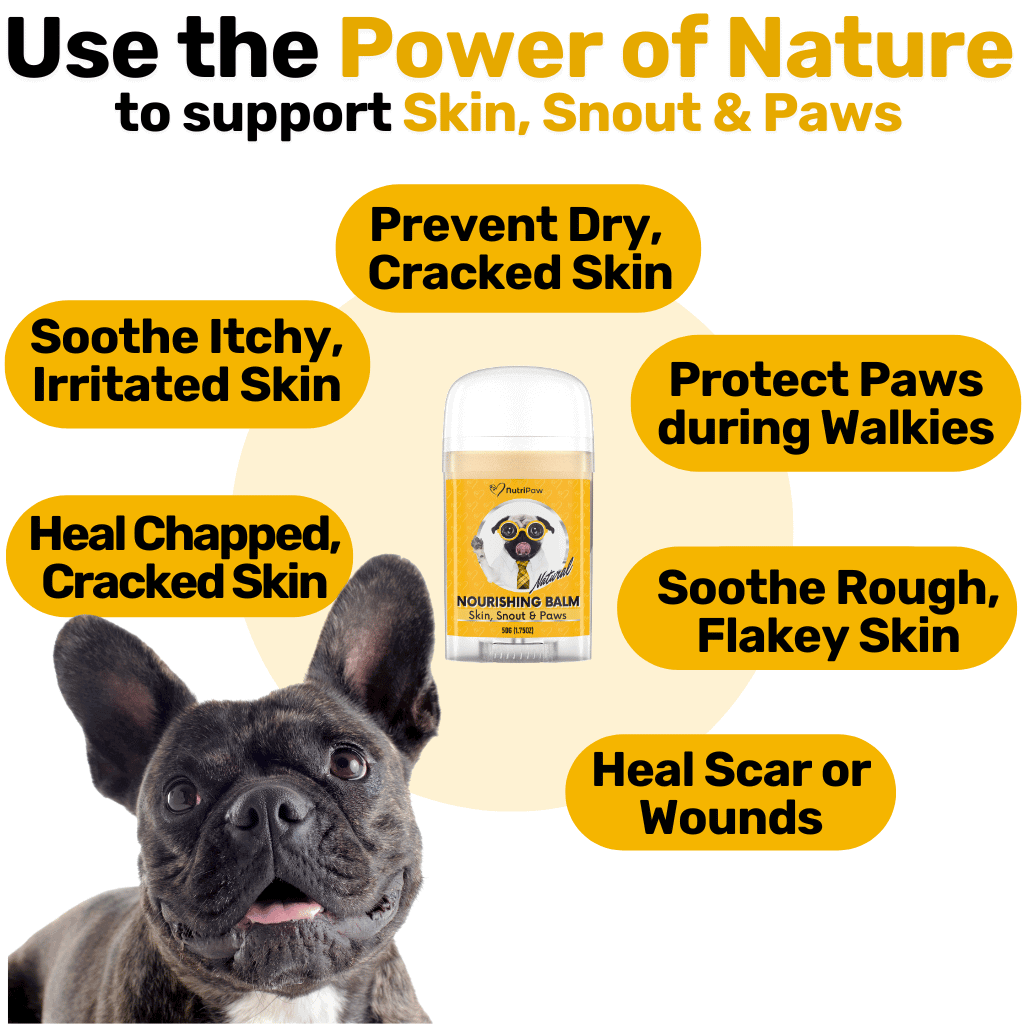 Skin, Snout & Paws Nourishing Balm 2 PACK Bundle