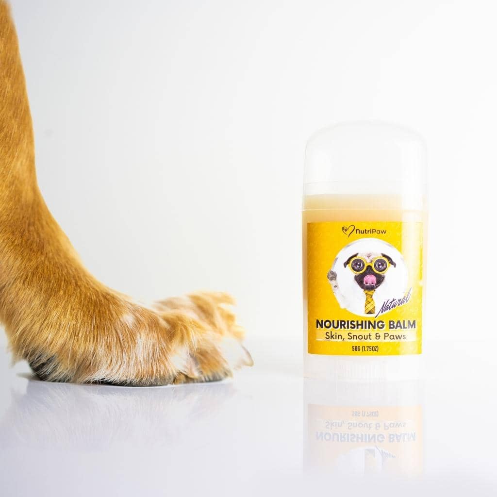Skin, Snout & Paws Nourishing Balm 2 PACK Bundle