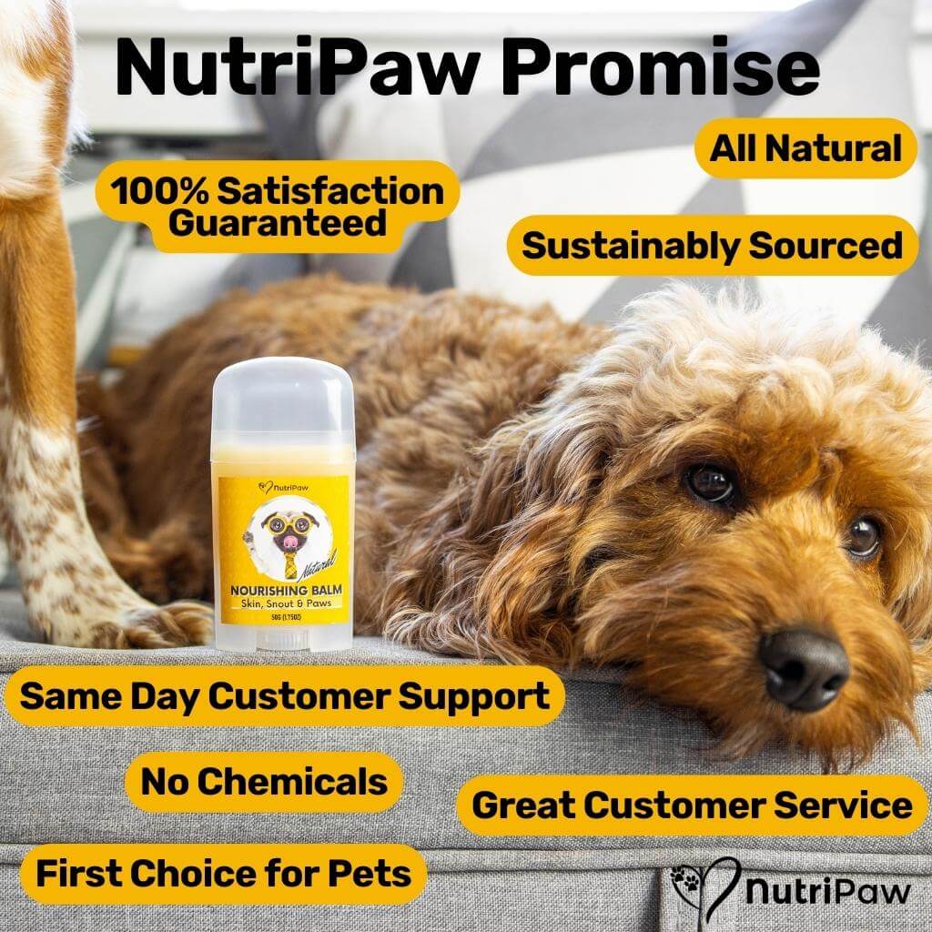 Nourishing Balm